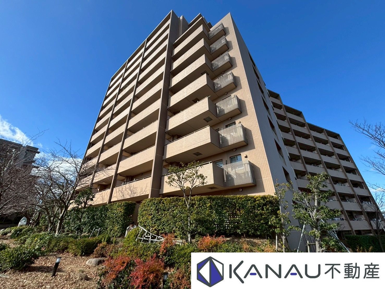 ディアエスタミオ舞子