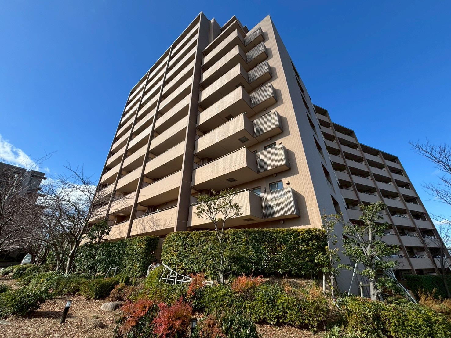 ディアエスタミオ舞子