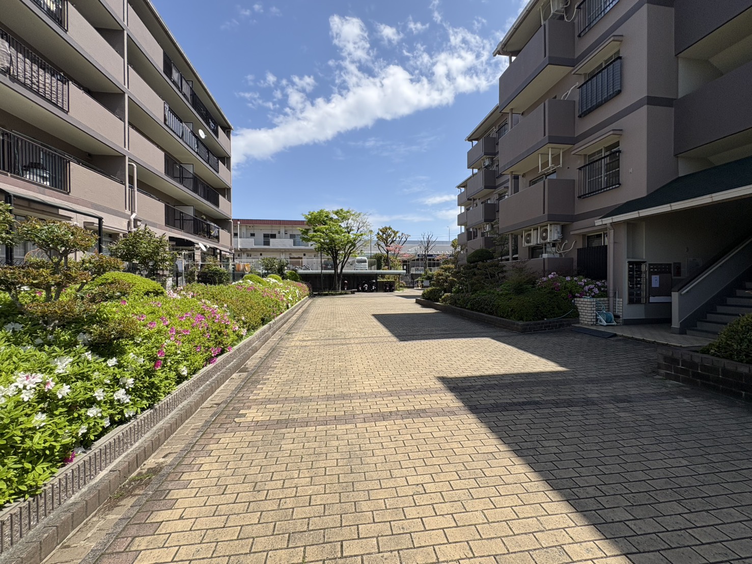 新多聞中央住宅262号棟