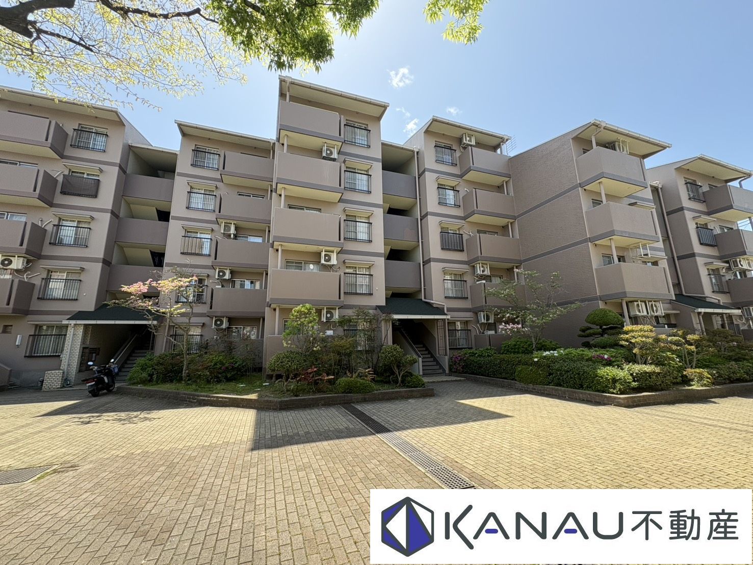 新多聞中央住宅262号棟