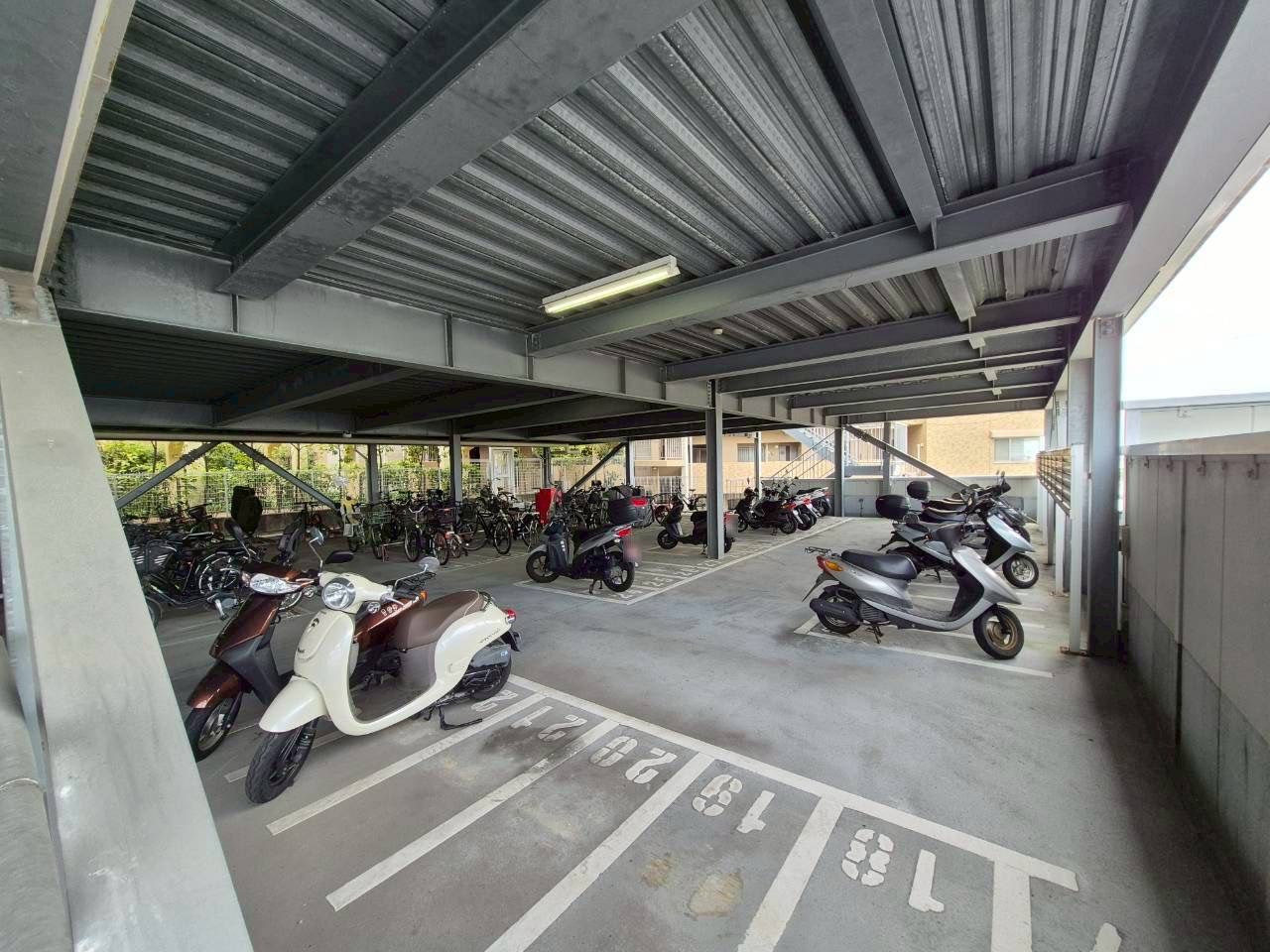 ディアエスタミオ星陵台